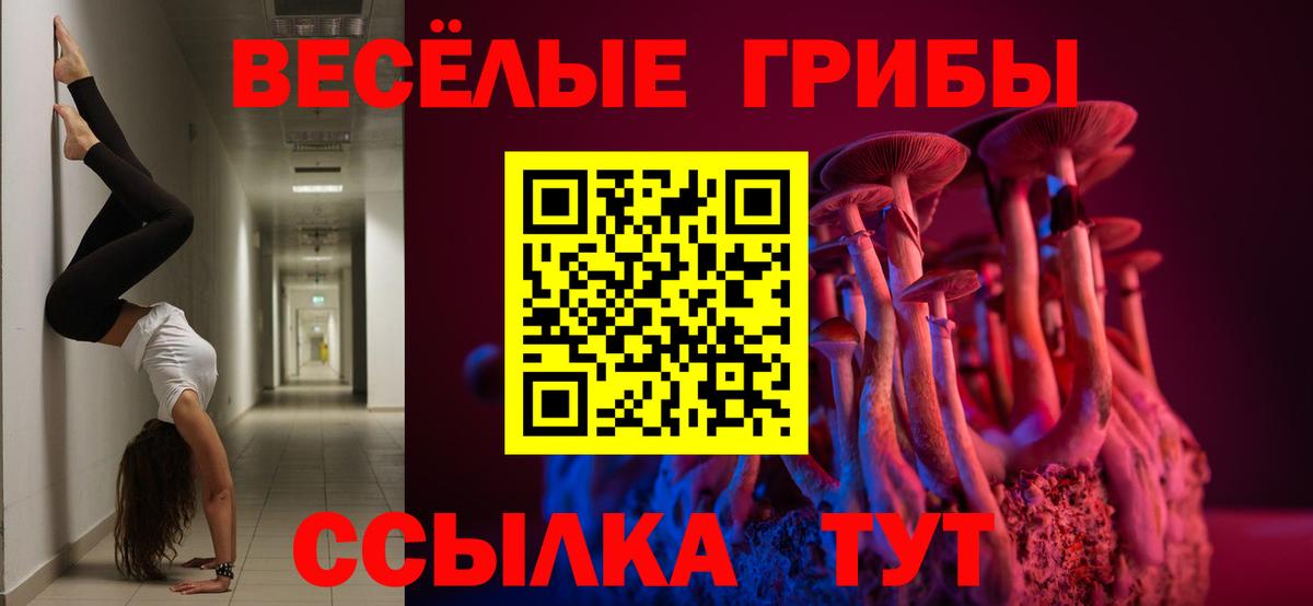 Спасск-Дальний  Галлюциногенные грибы мухоморы  Вход с VPN 